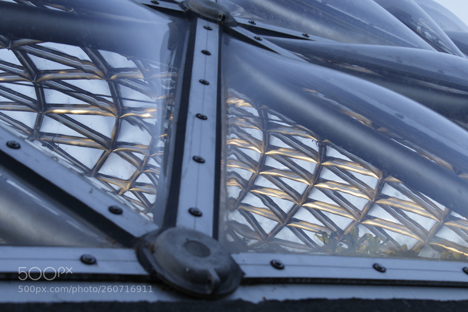 Canon EOS 600D (Rebel EOS T3i / EOS Kiss X5) sample photo. Bloedel conservatory - structural photography