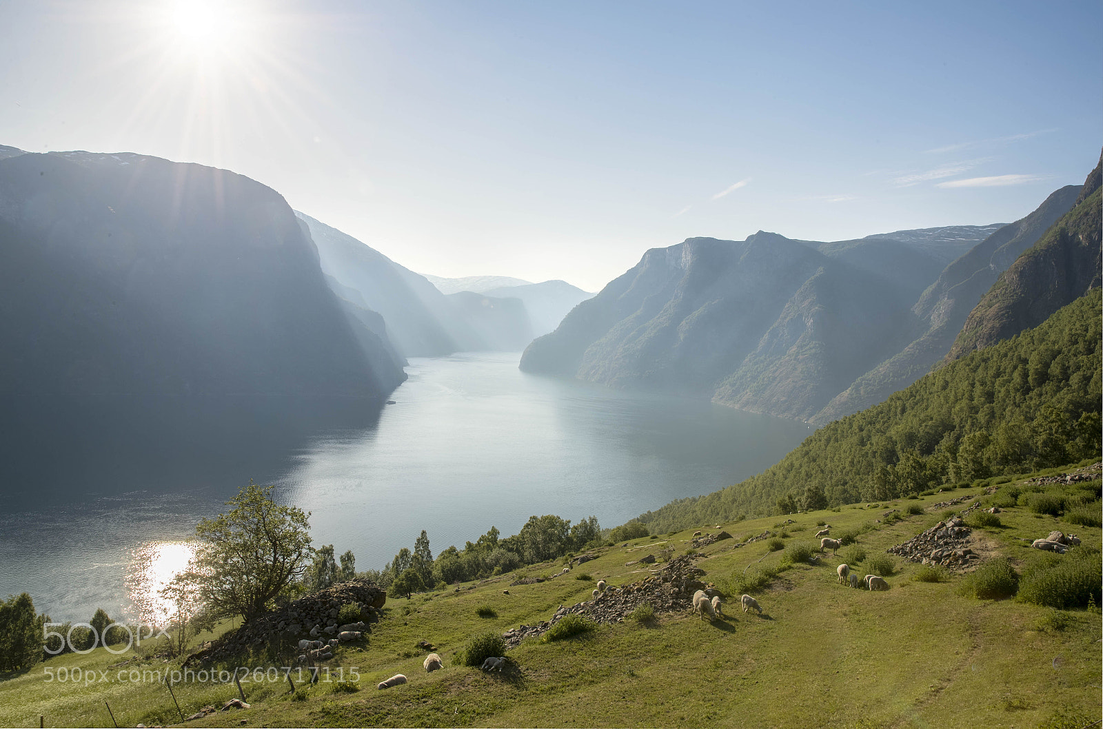Canon EOS-1D X Mark II sample photo. Fjord view photography