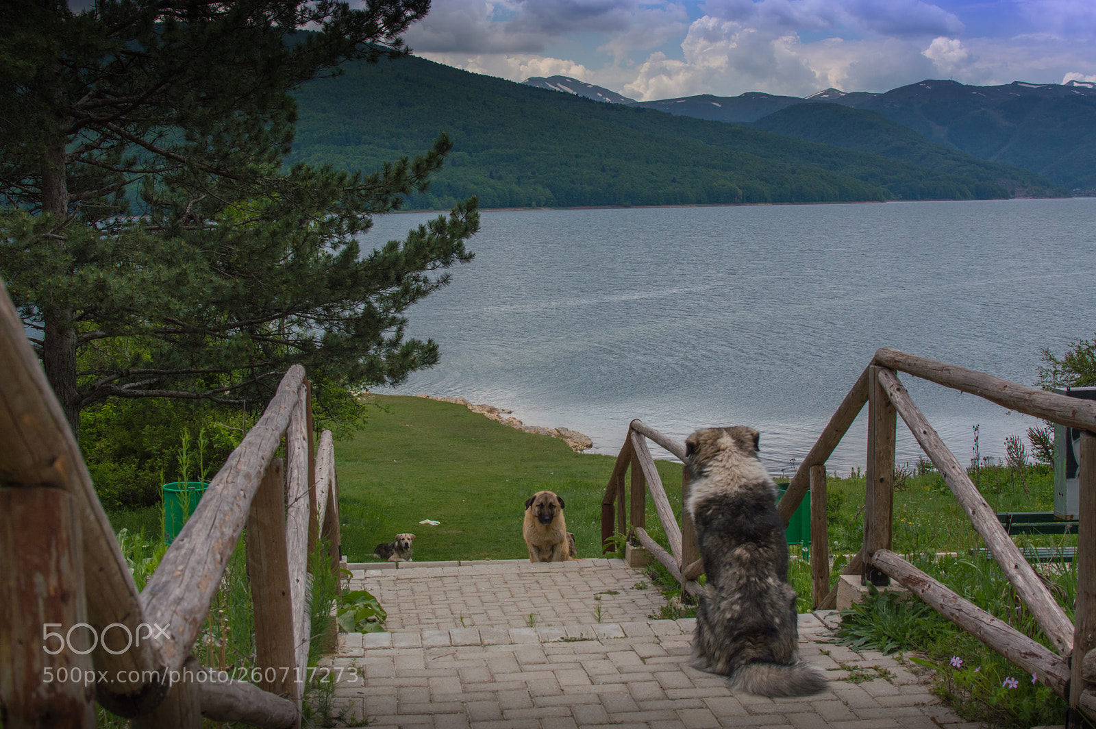 Nikon D3200 sample photo. Guardians of the lake photography