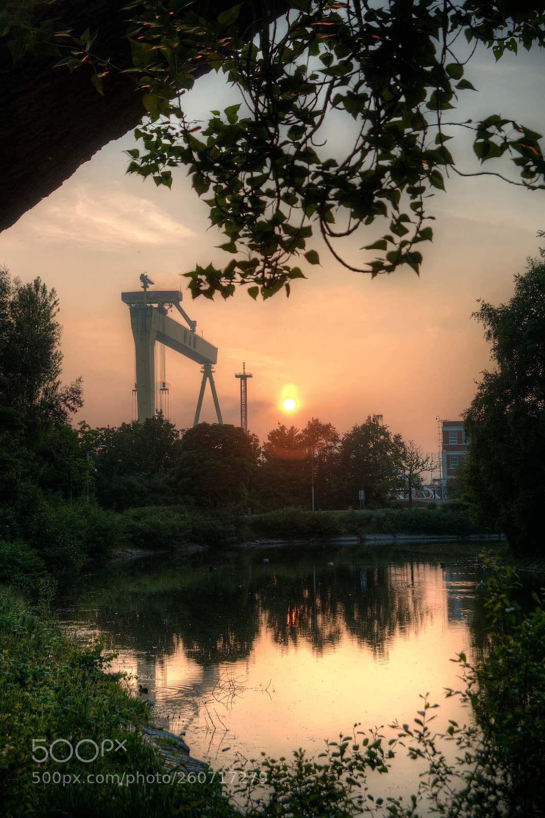 Canon EOS 70D sample photo. Crane sunset photography