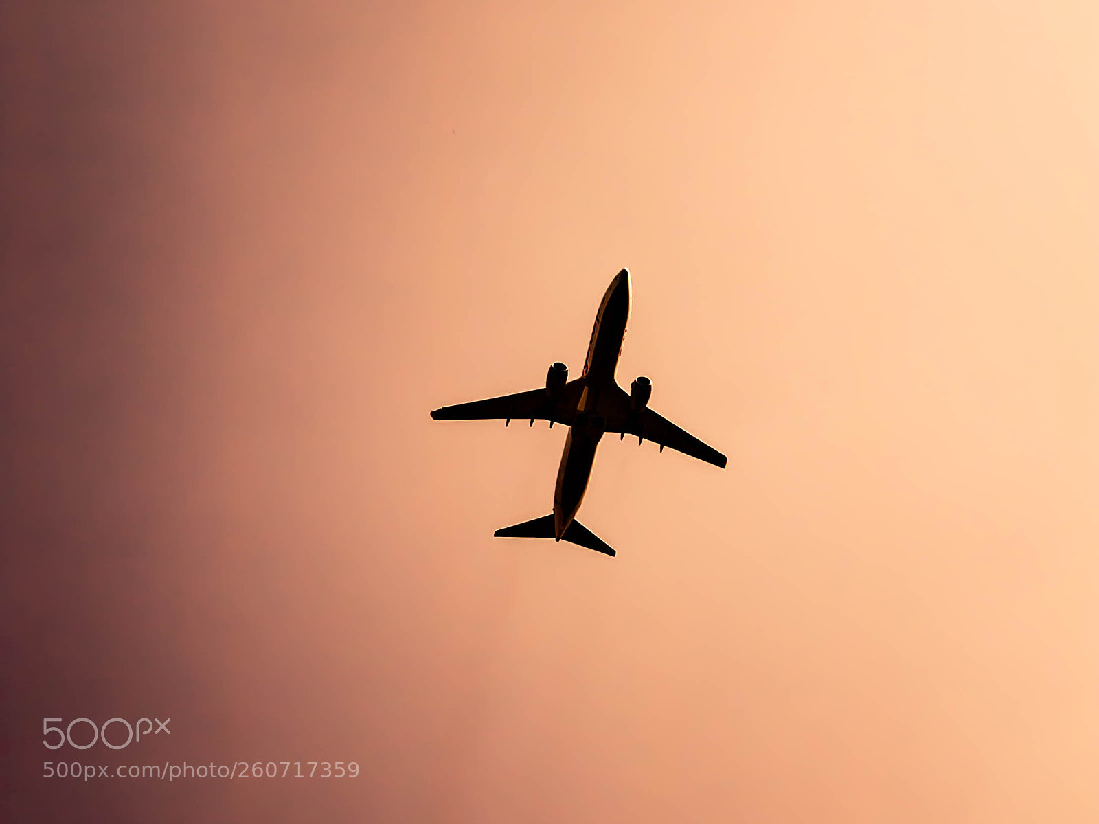 Canon EOS 750D (EOS Rebel T6i / EOS Kiss X8i) sample photo. Flying into sunset photography