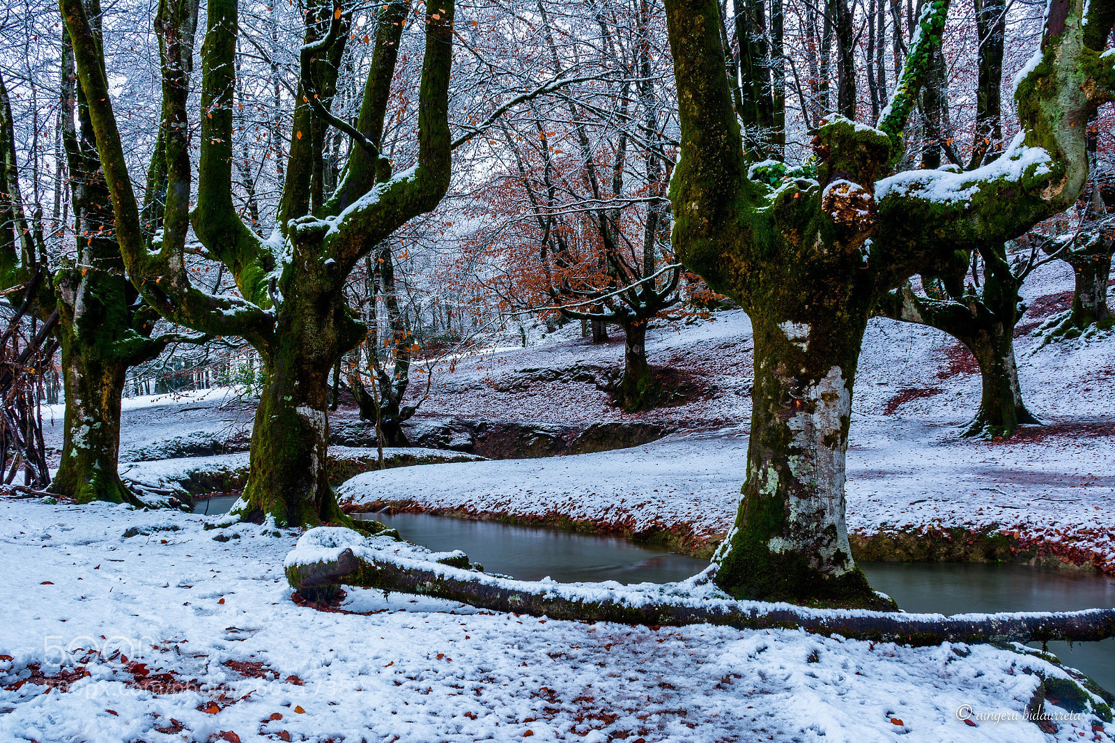 Nikon D5200 sample photo. Otzarreta photography