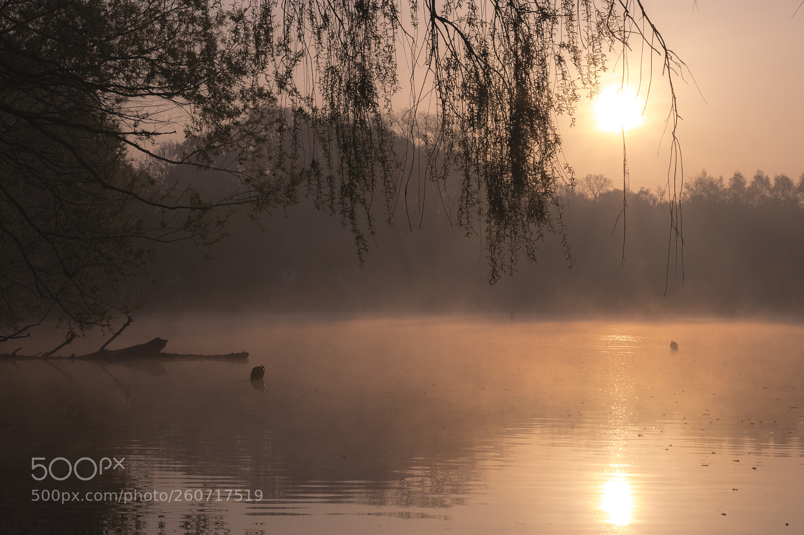 Nikon D3200 sample photo. Mystic sunset photography