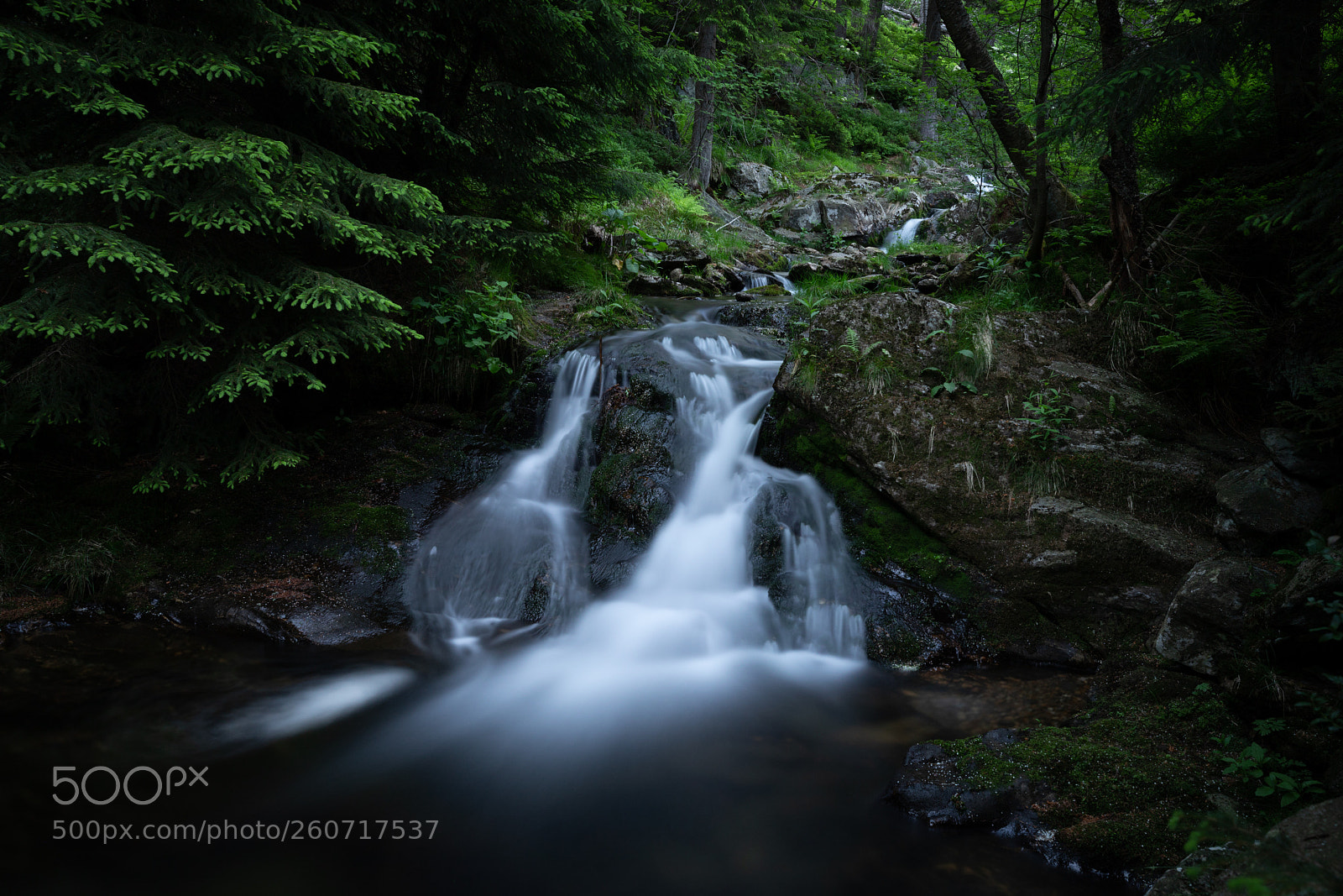 Canon EOS 5D Mark IV sample photo. Stream in krkonose mountains photography