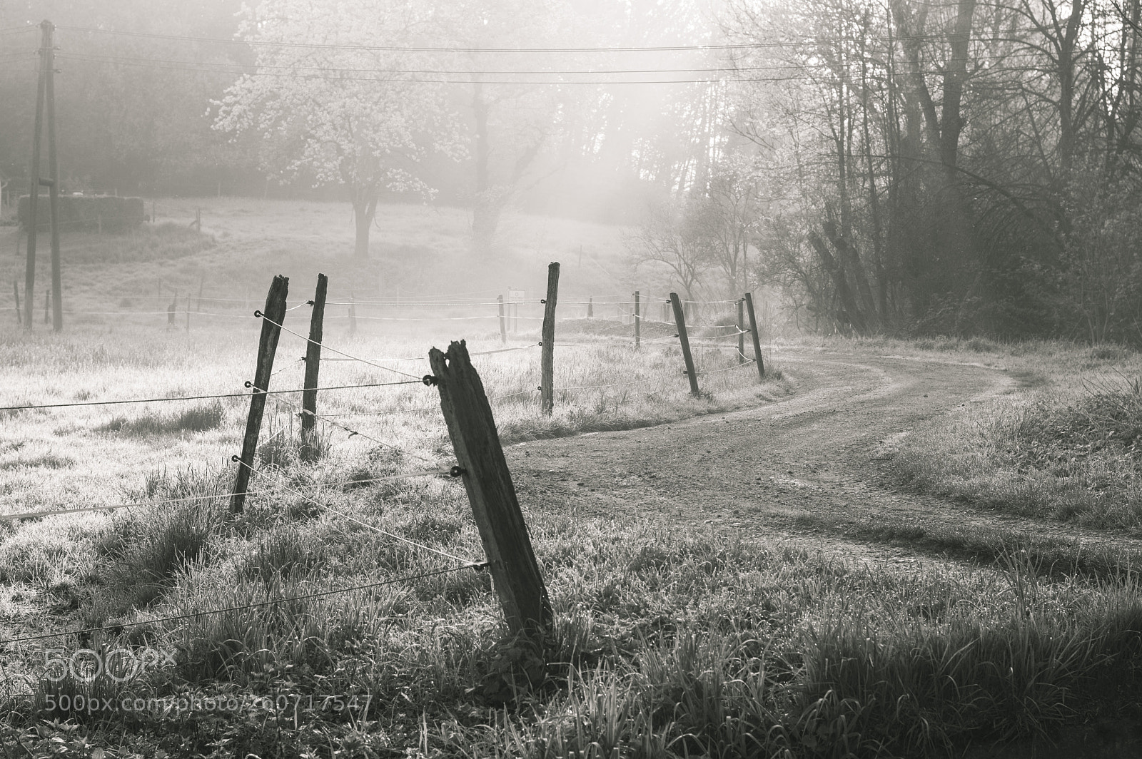 Nikon D3200 sample photo. Tranquility photography
