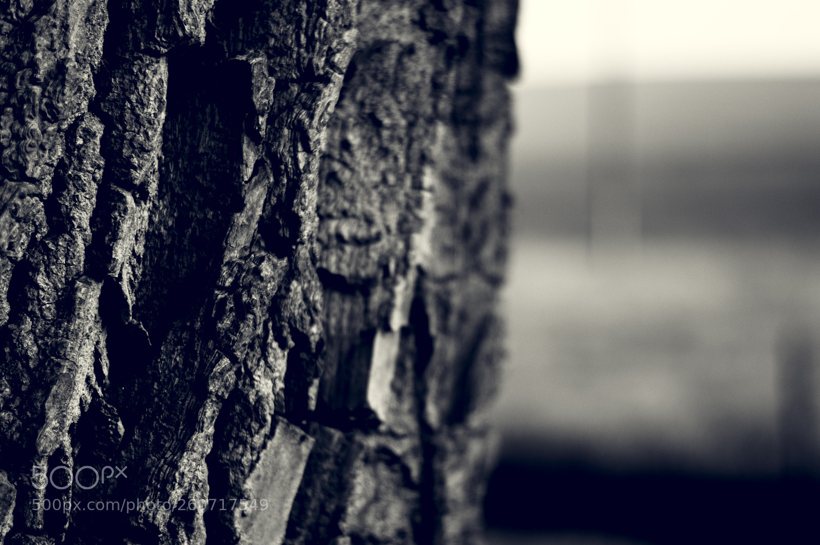Nikon D3200 sample photo. Untitled photography