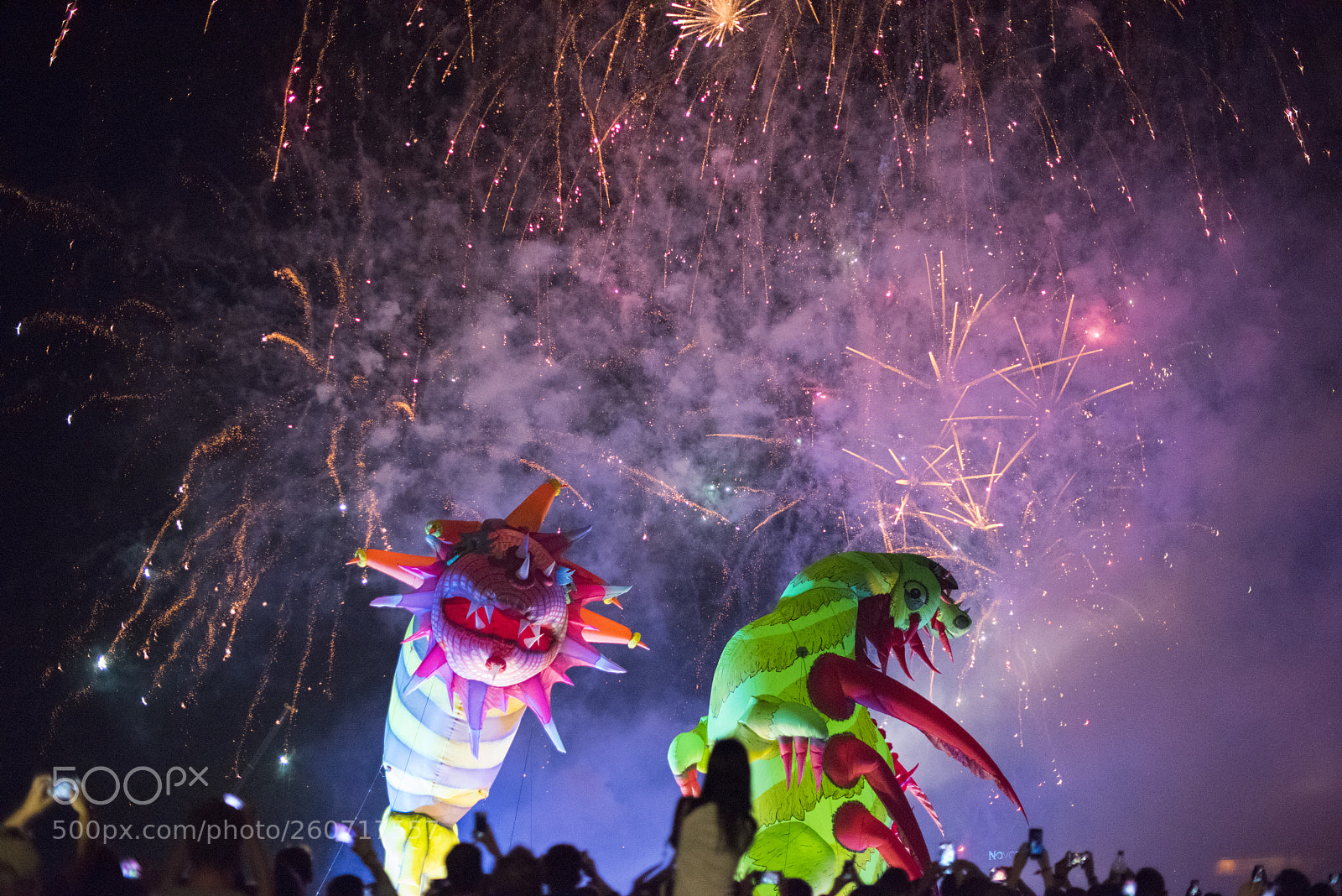 Nikon D810 sample photo. Annual 2018 great dragon photography