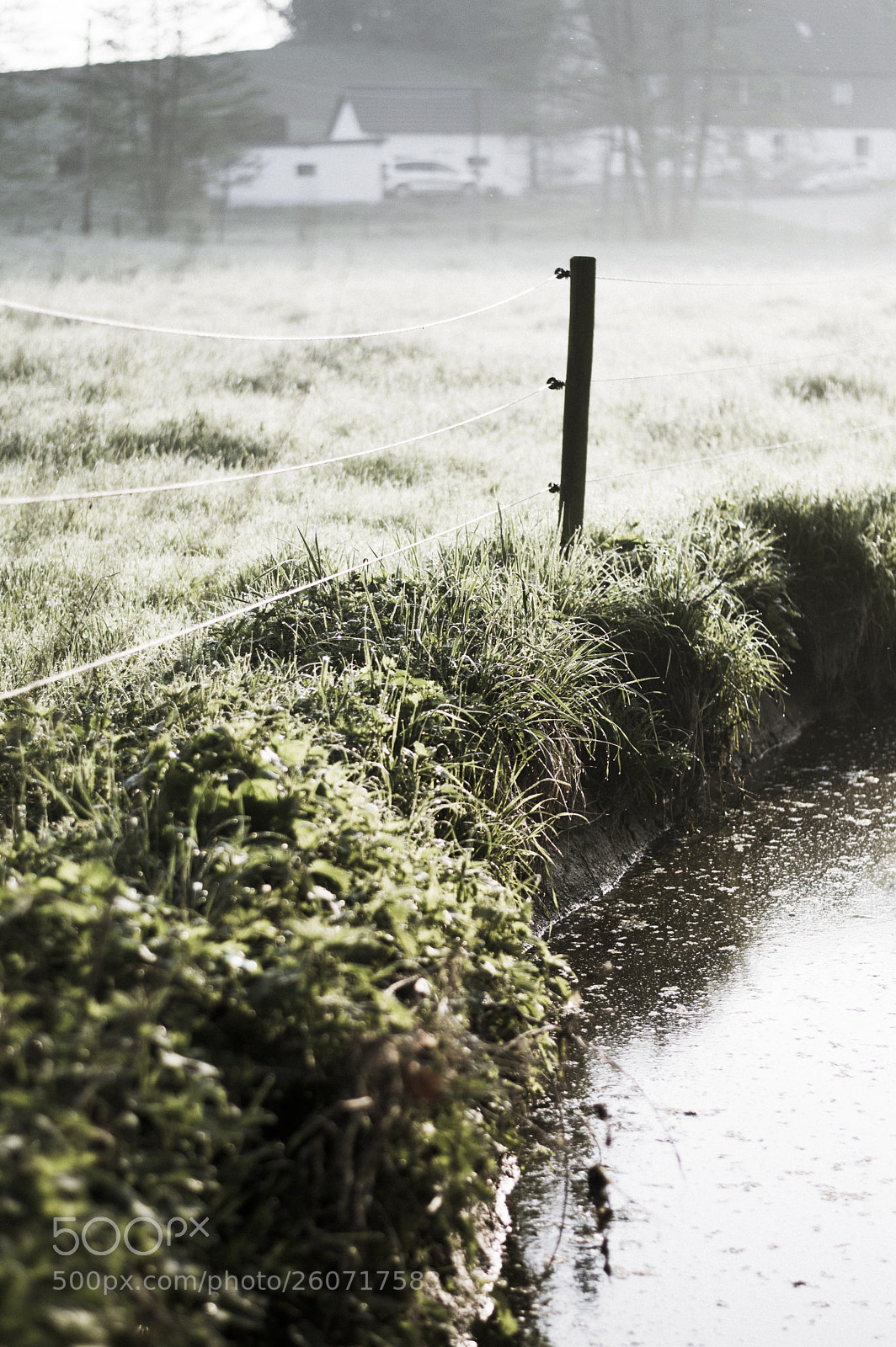 Nikon D3200 sample photo. Untitled photography