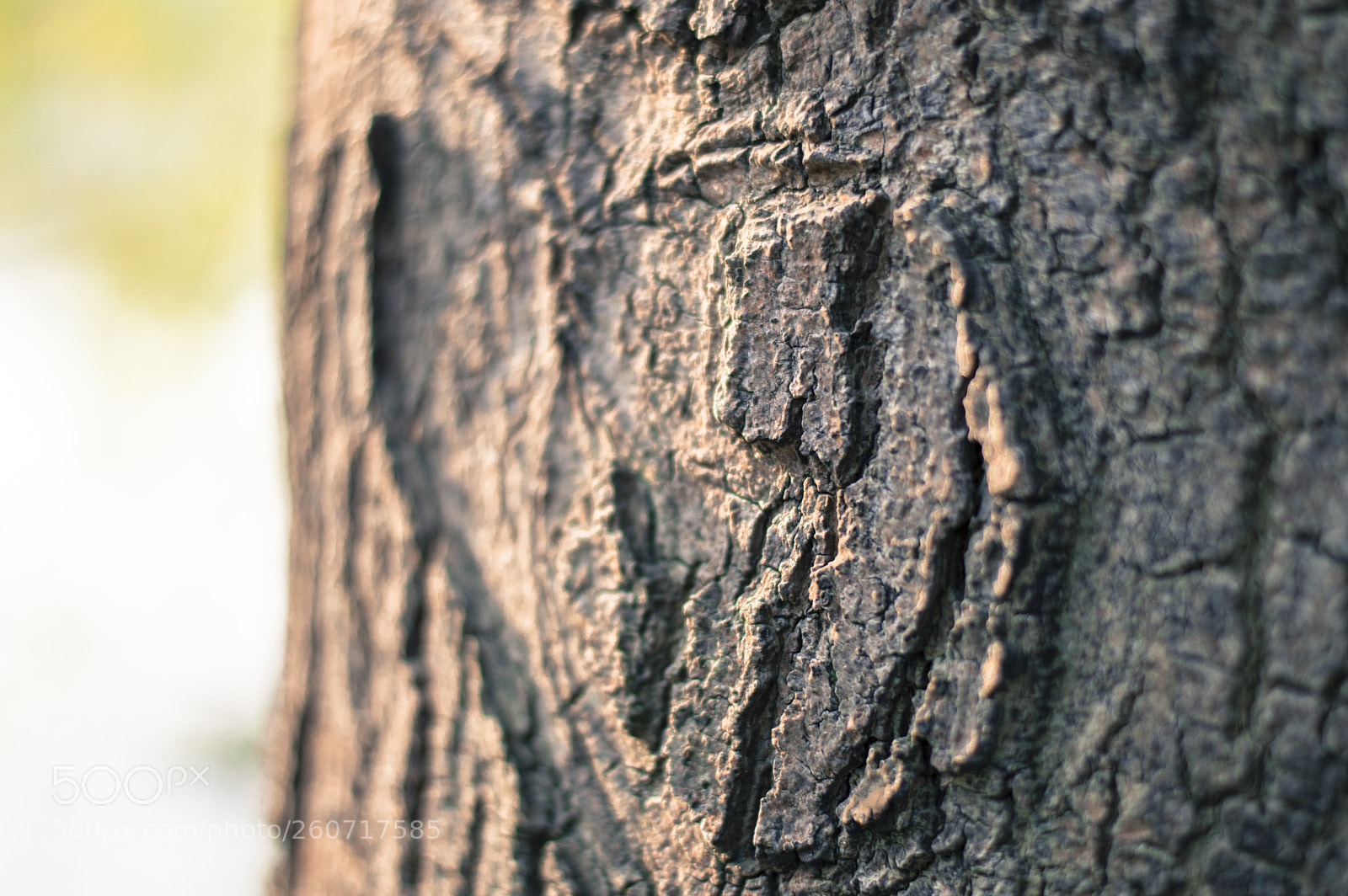 Nikon D3200 sample photo. Engraved love photography