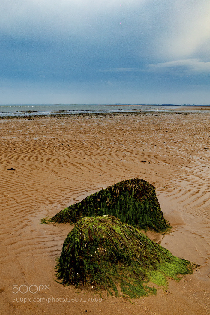 Canon EOS 6D sample photo. Dornoch beach photography