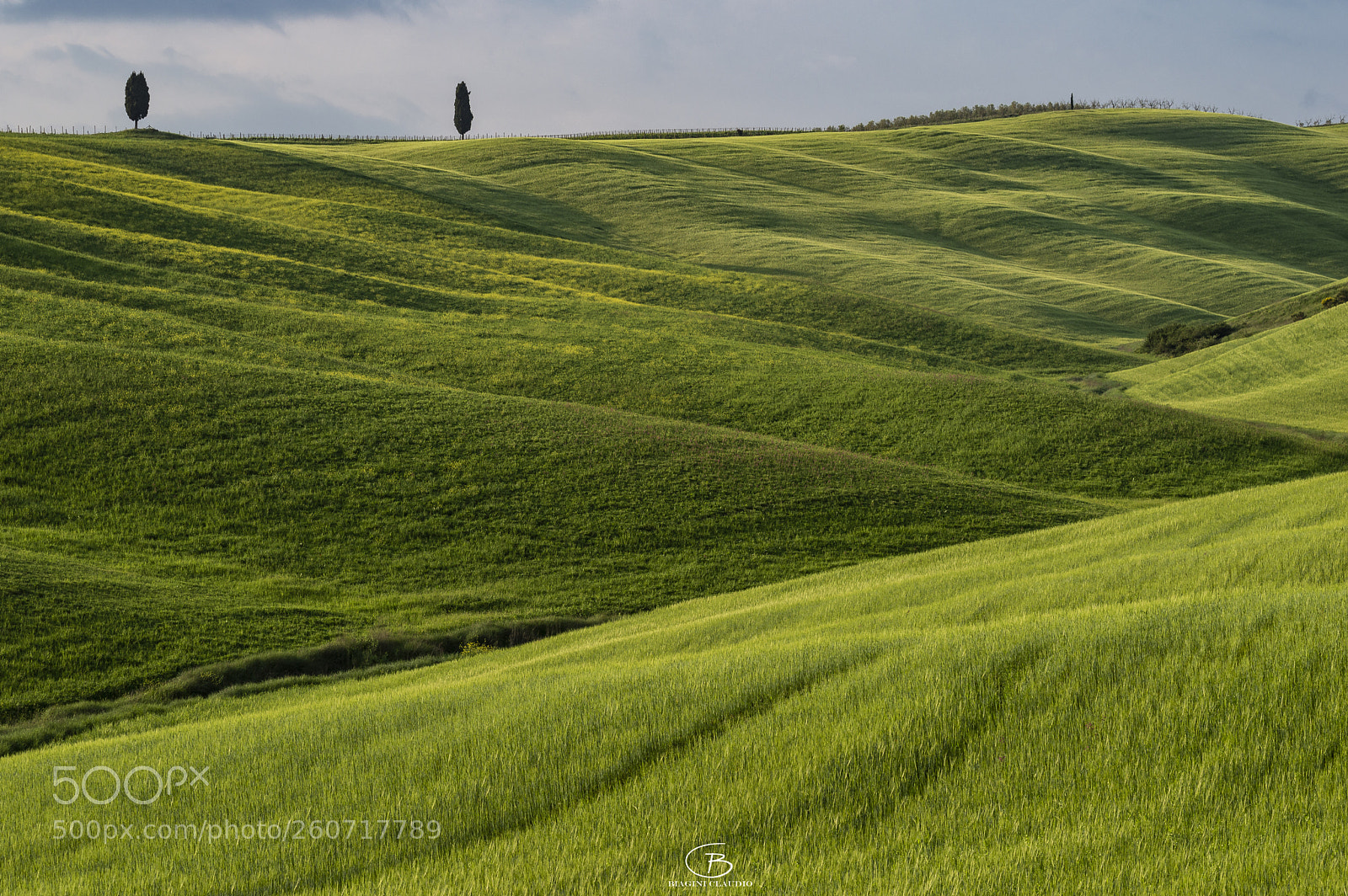 Nikon D3200 sample photo. Val d'orcia,san quirico photography