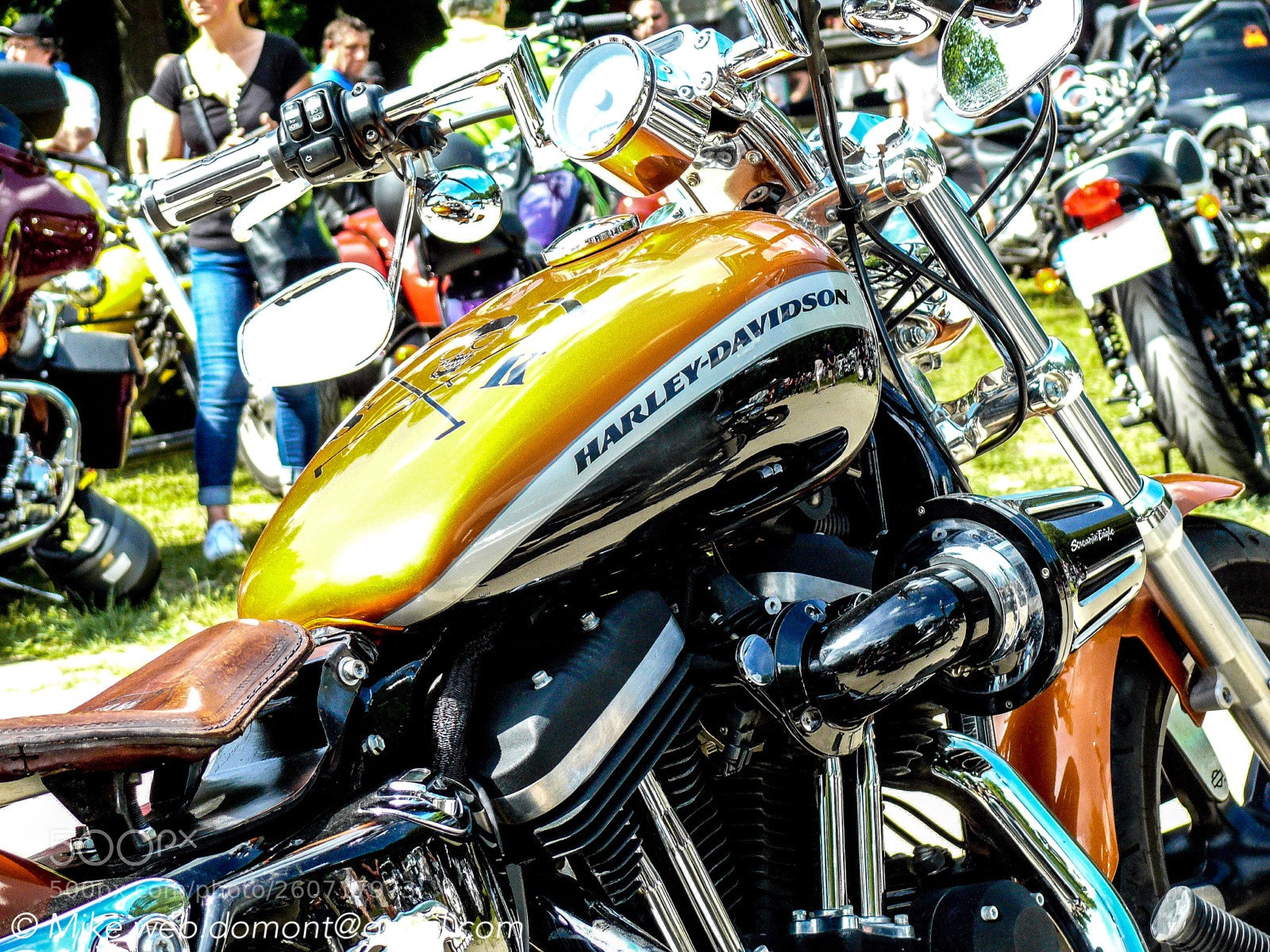 Panasonic DMC-FZ50 sample photo. Harley photography