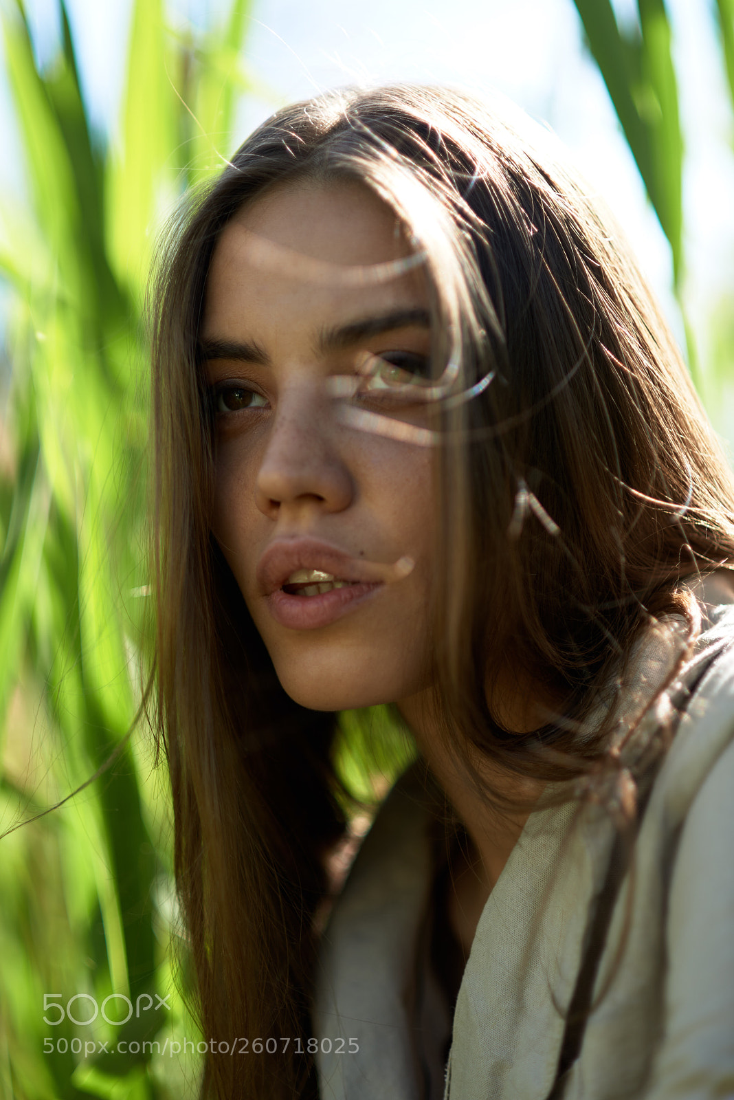 Nikon D610 sample photo. Vlada photography