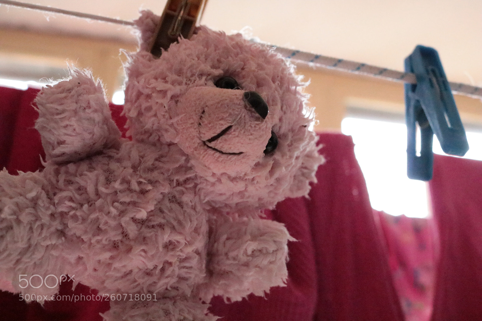 Canon EOS 750D (EOS Rebel T6i / EOS Kiss X8i) sample photo. Teddy bear photography