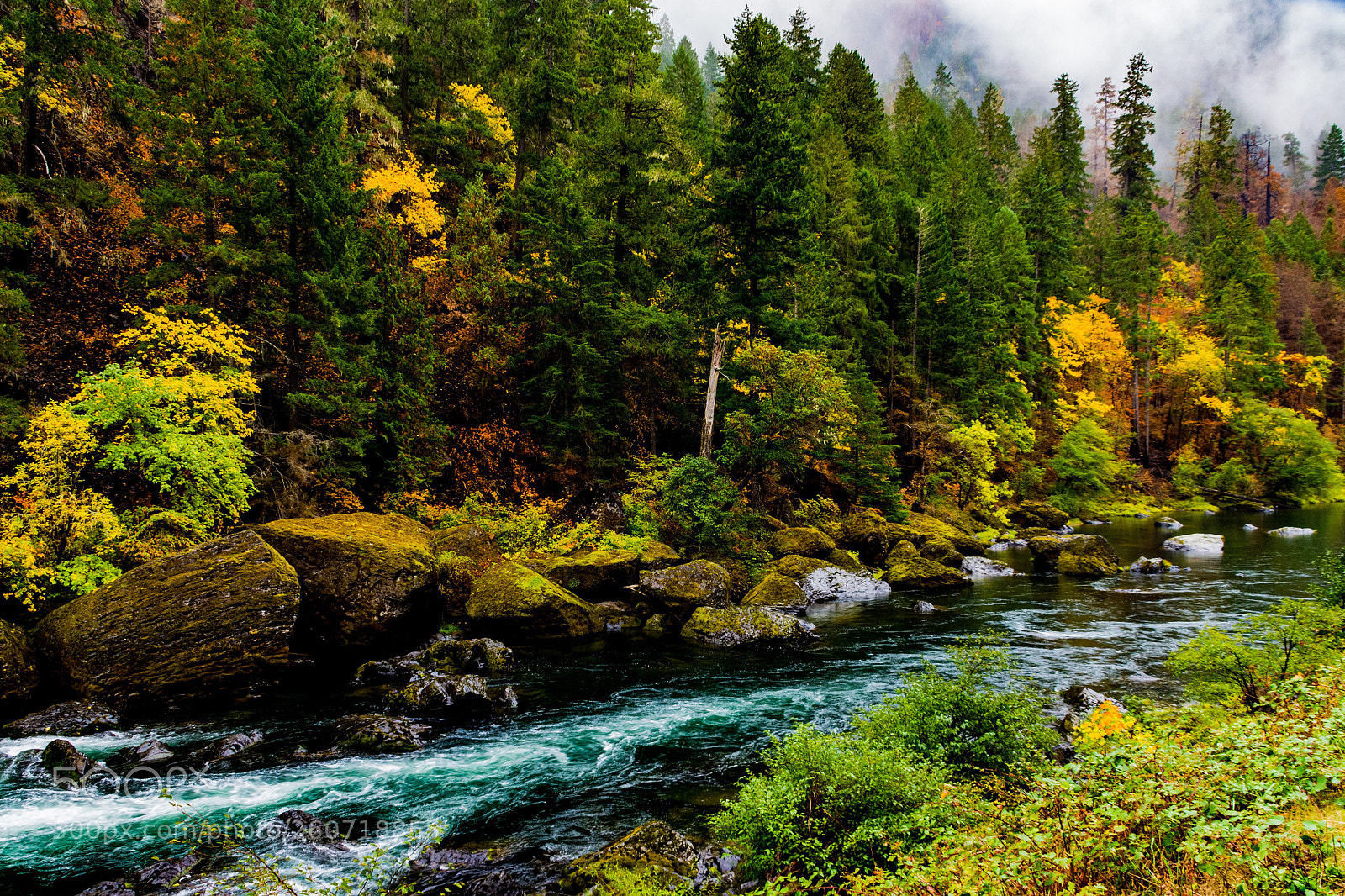 Nikon D7200 sample photo. Fall in oregon photography