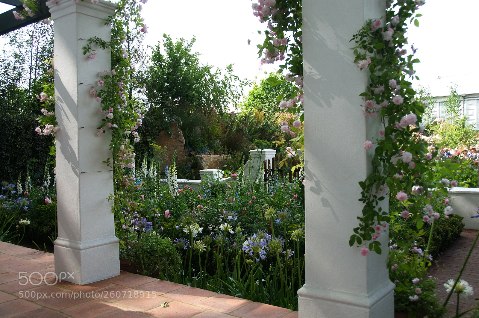 Nikon D300S sample photo. The trailfinders south african photography
