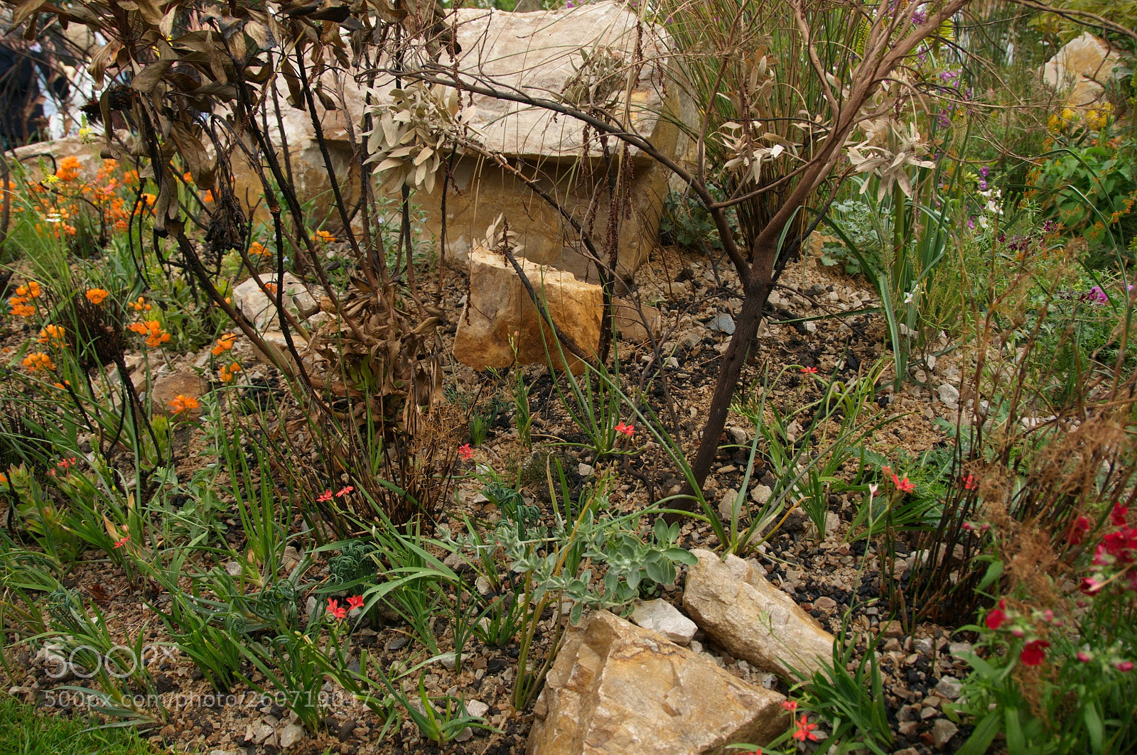Nikon D300S sample photo. The trailfinders south african photography