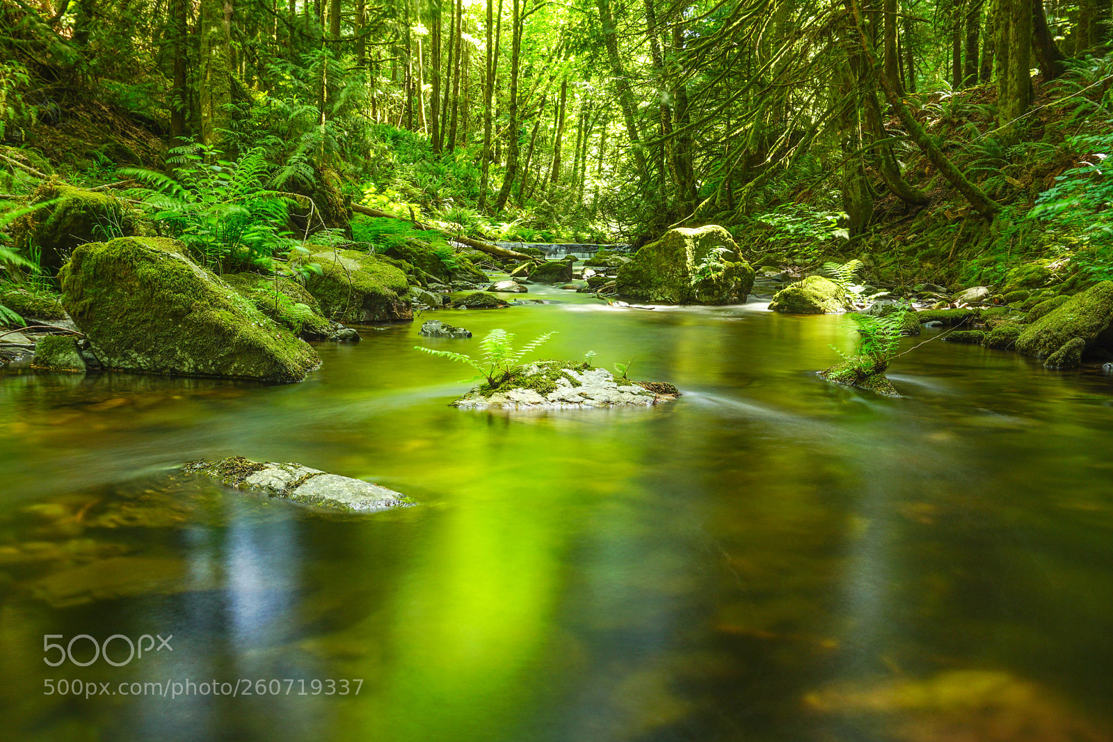 Sony a6000 sample photo. Sooke river photography