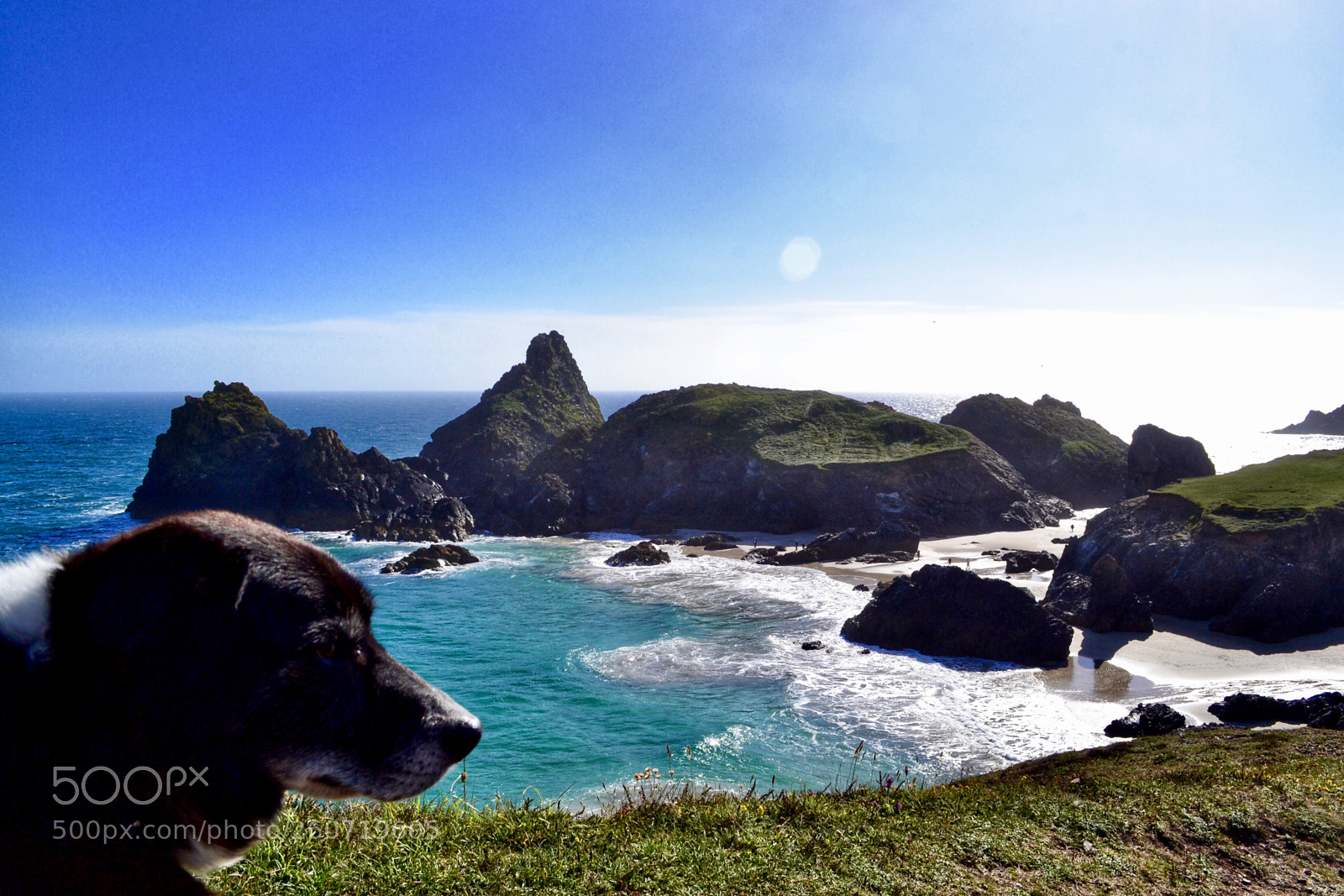 Nikon D3100 sample photo. Kynance cove, cornwall photography