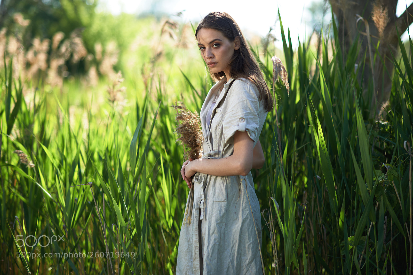 Nikon D610 sample photo. Vlada photography