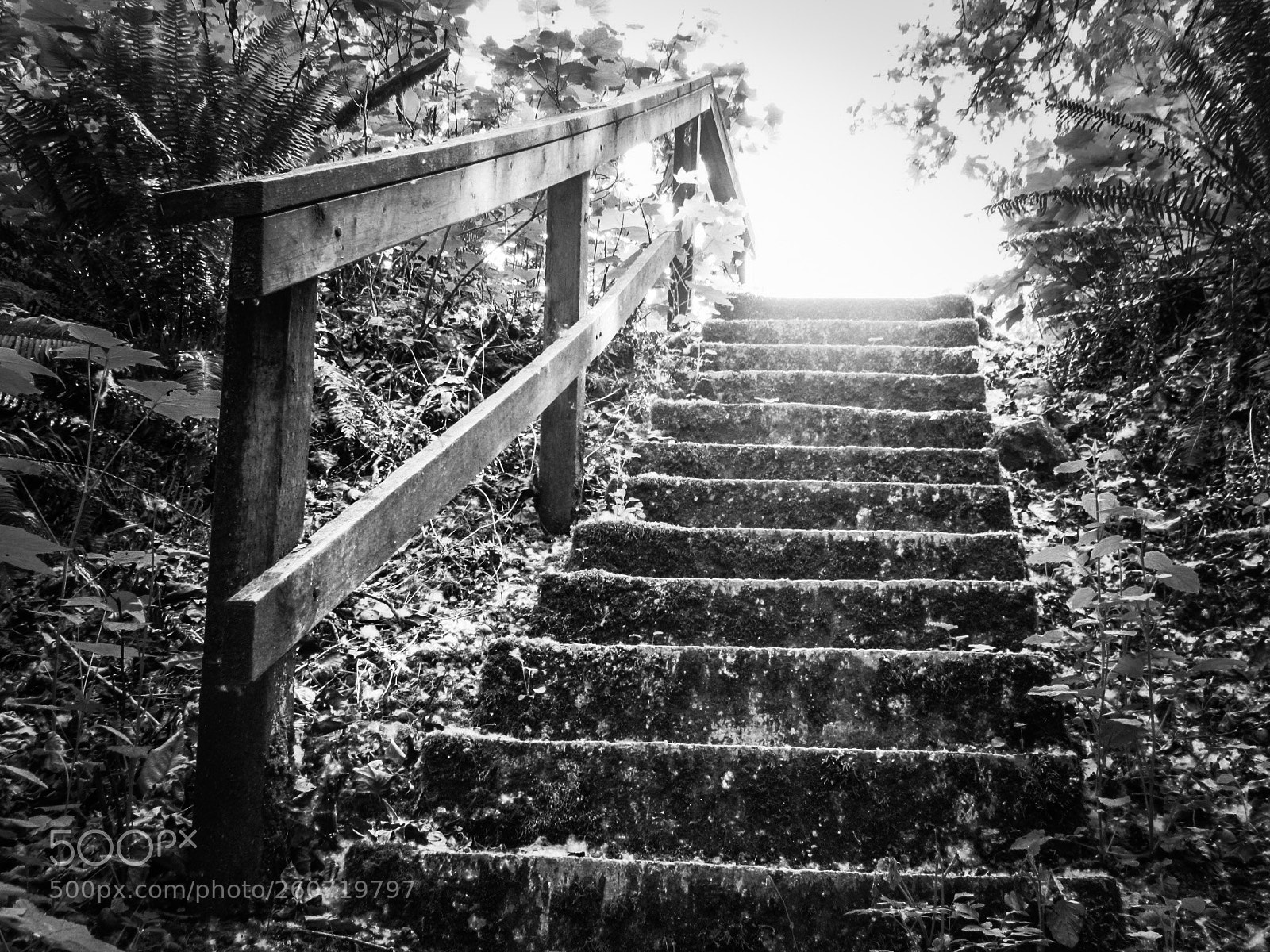 Canon PowerShot SX530 HS sample photo. Multidimensional stairs photography