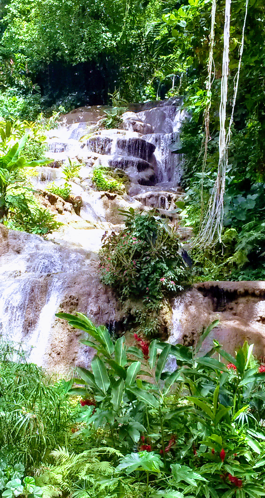Samsung Galaxy S4 Active sample photo. Jamaican waterfall photography