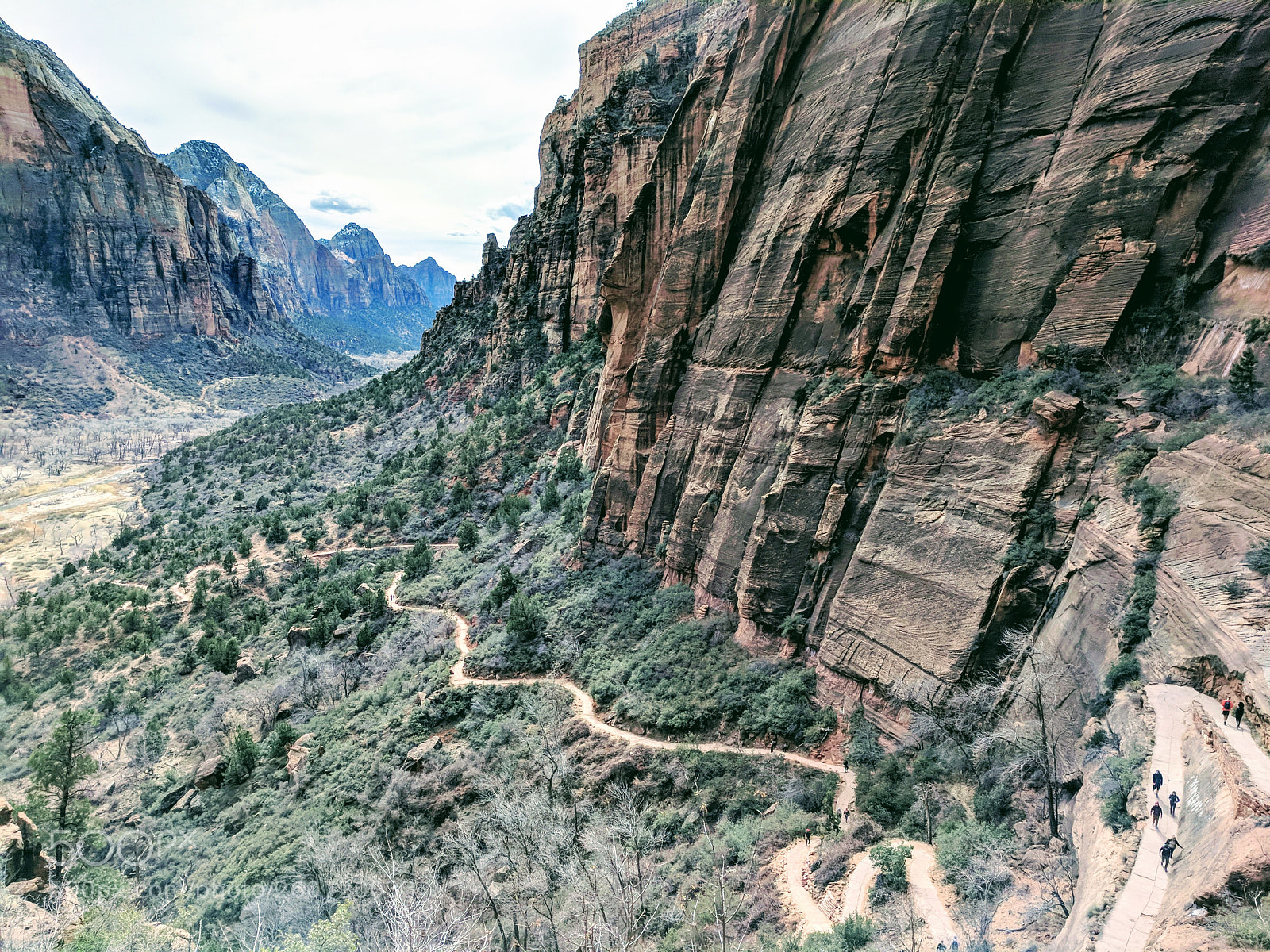 Google Pixel sample photo. Zion photography