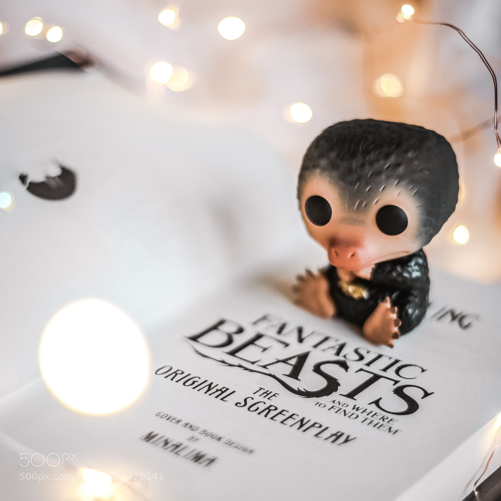 Canon EOS 5D Mark IV sample photo. Fantastic beasts photography