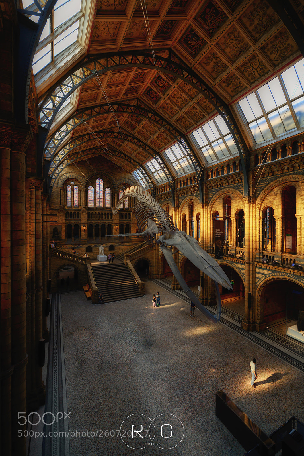 Nikon D800 sample photo. Natural history museum and photography