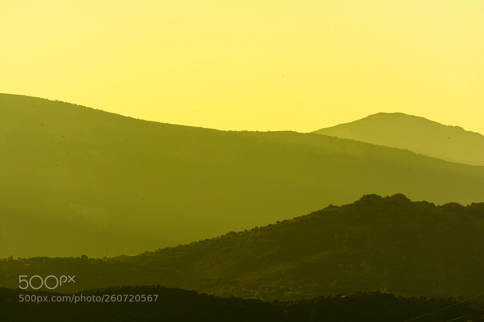 Nikon D5200 sample photo. Yellow valley photography