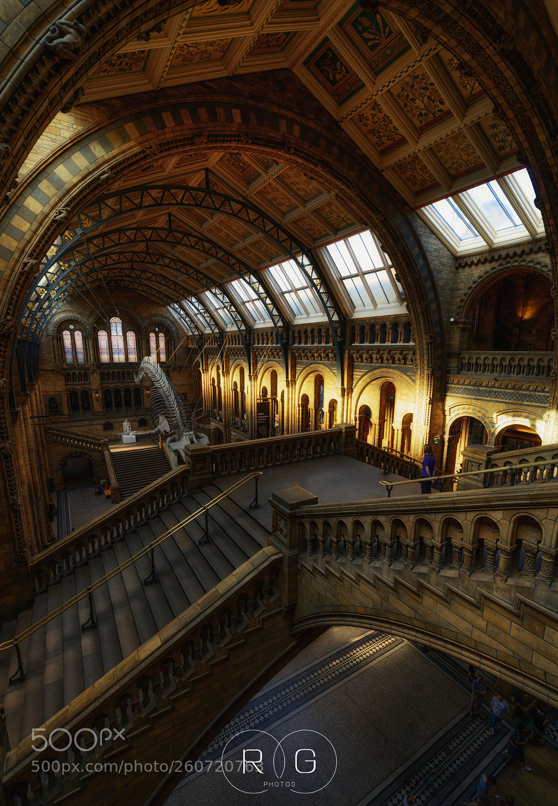 Nikon D800 sample photo. Natural history museum and photography