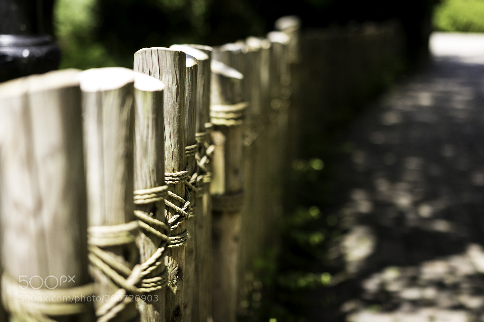 Canon EOS 700D (EOS Rebel T5i / EOS Kiss X7i) sample photo. Mg photography
