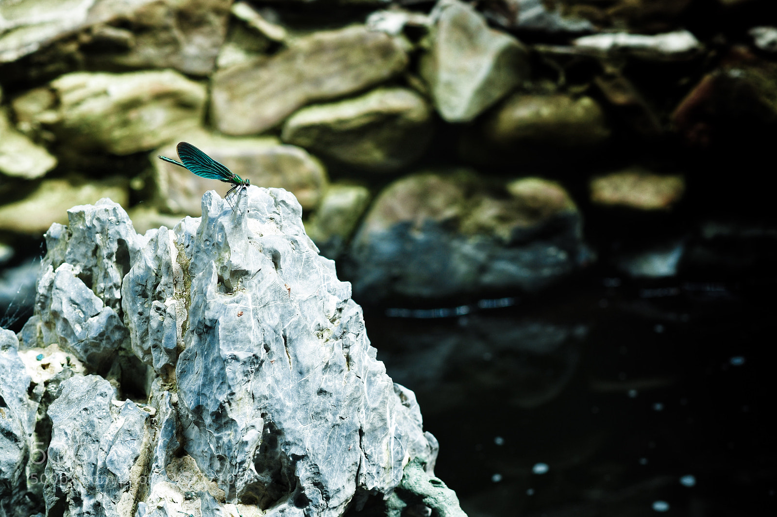 Nikon D7500 sample photo. . photography