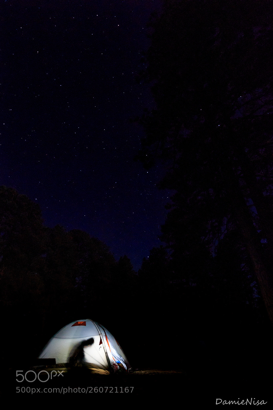 Canon EOS 700D (EOS Rebel T5i / EOS Kiss X7i) sample photo. Camping night photography
