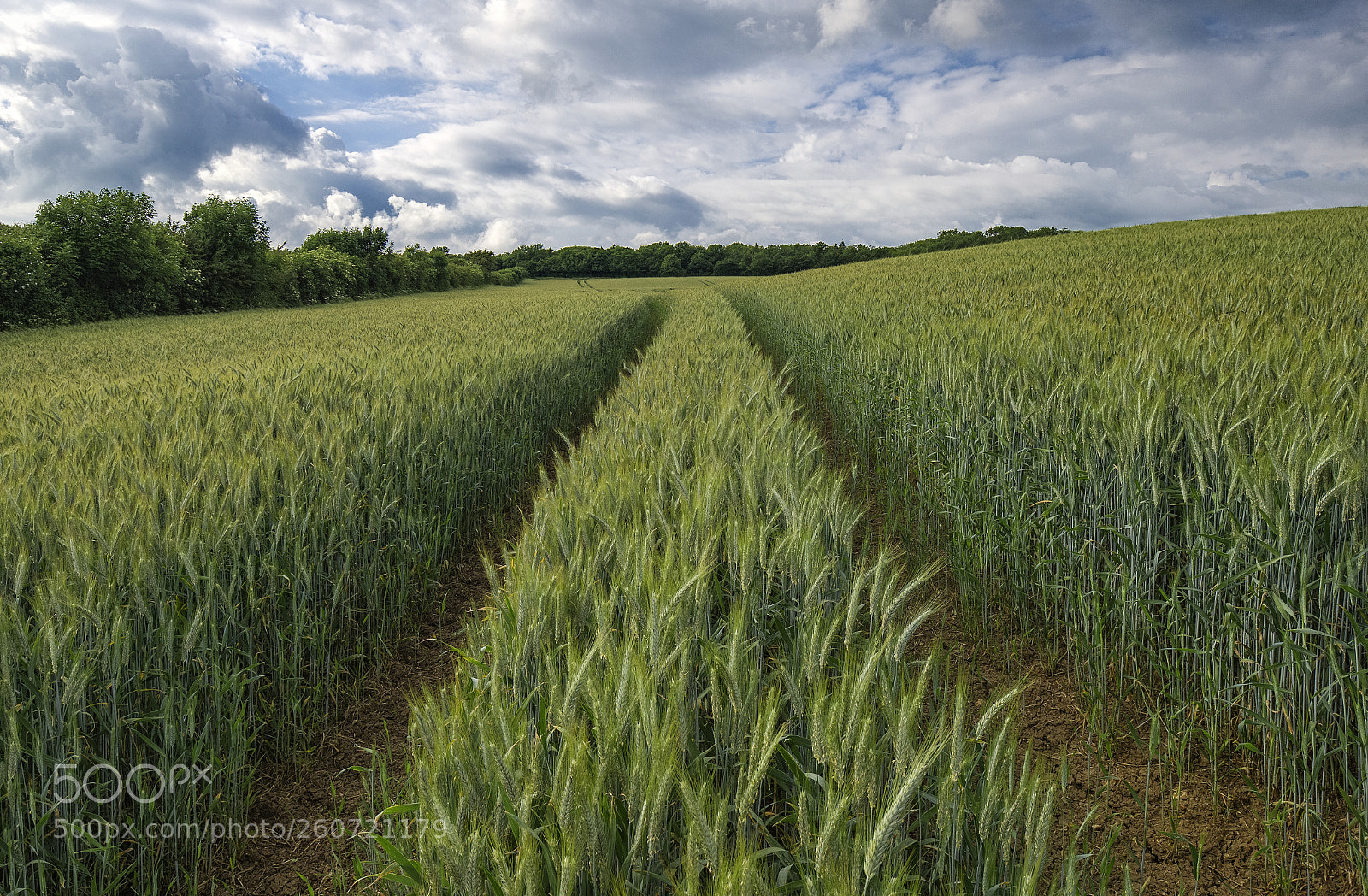 Sony a7R II sample photo. Separate lanes photography