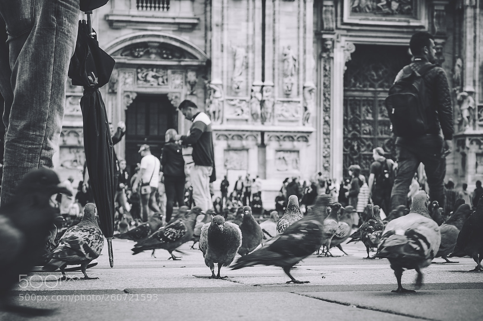 Sony ILCA-77M2 sample photo. Duome milano street art photography