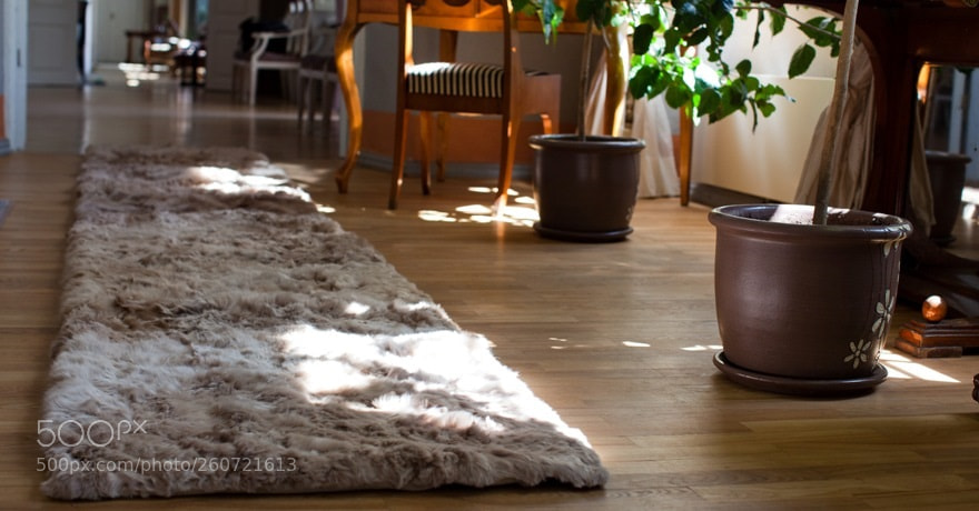 Canon EOS 5D Mark II sample photo. Hua rug in light photography