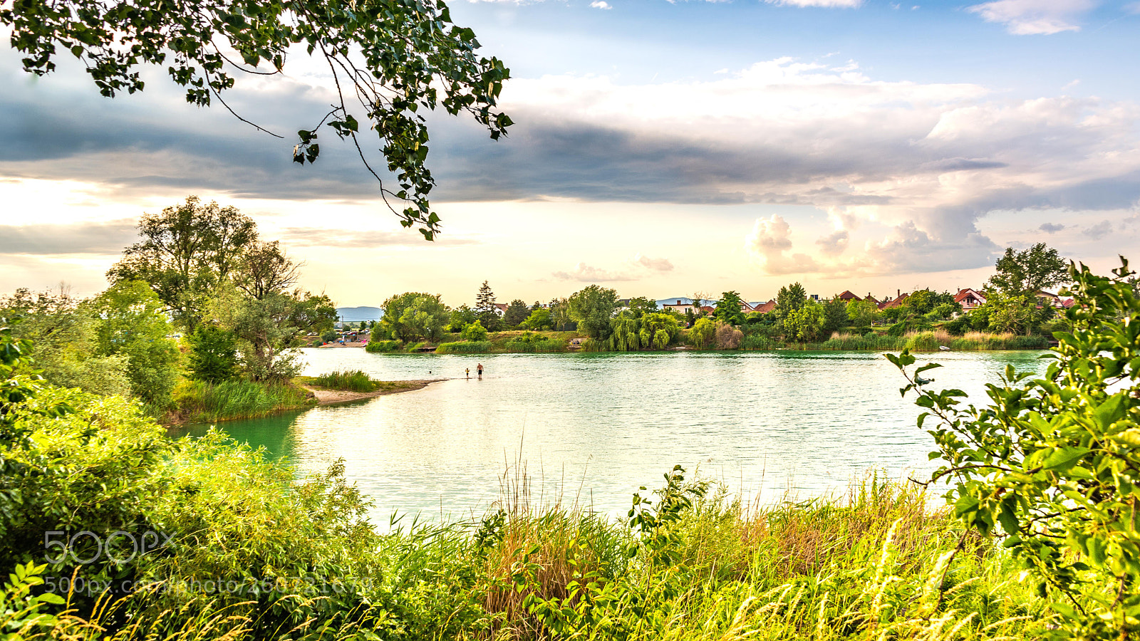 Nikon D610 sample photo. True summer photography