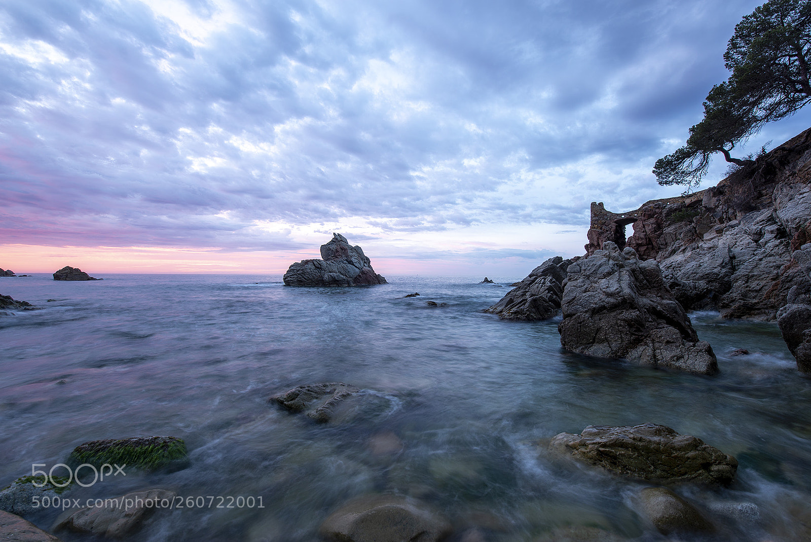 Nikon D610 sample photo. Mirando el amanecer, looking photography