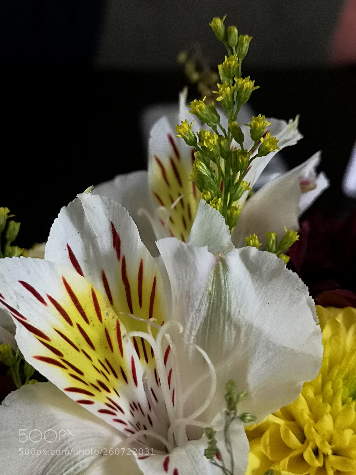 HUAWEI P20 sample photo. Untitled photography