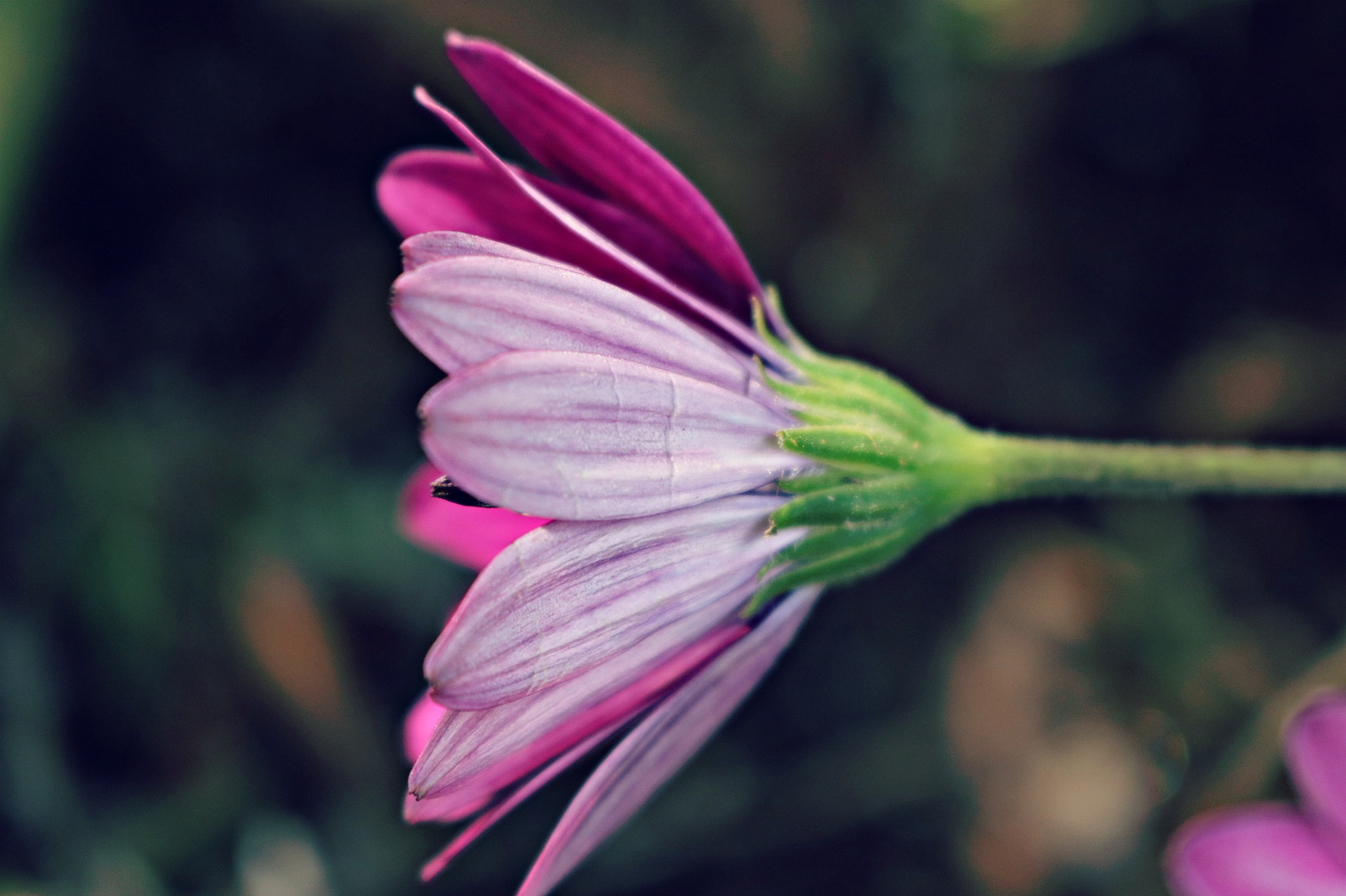 Canon EOS 80D sample photo. Img photography