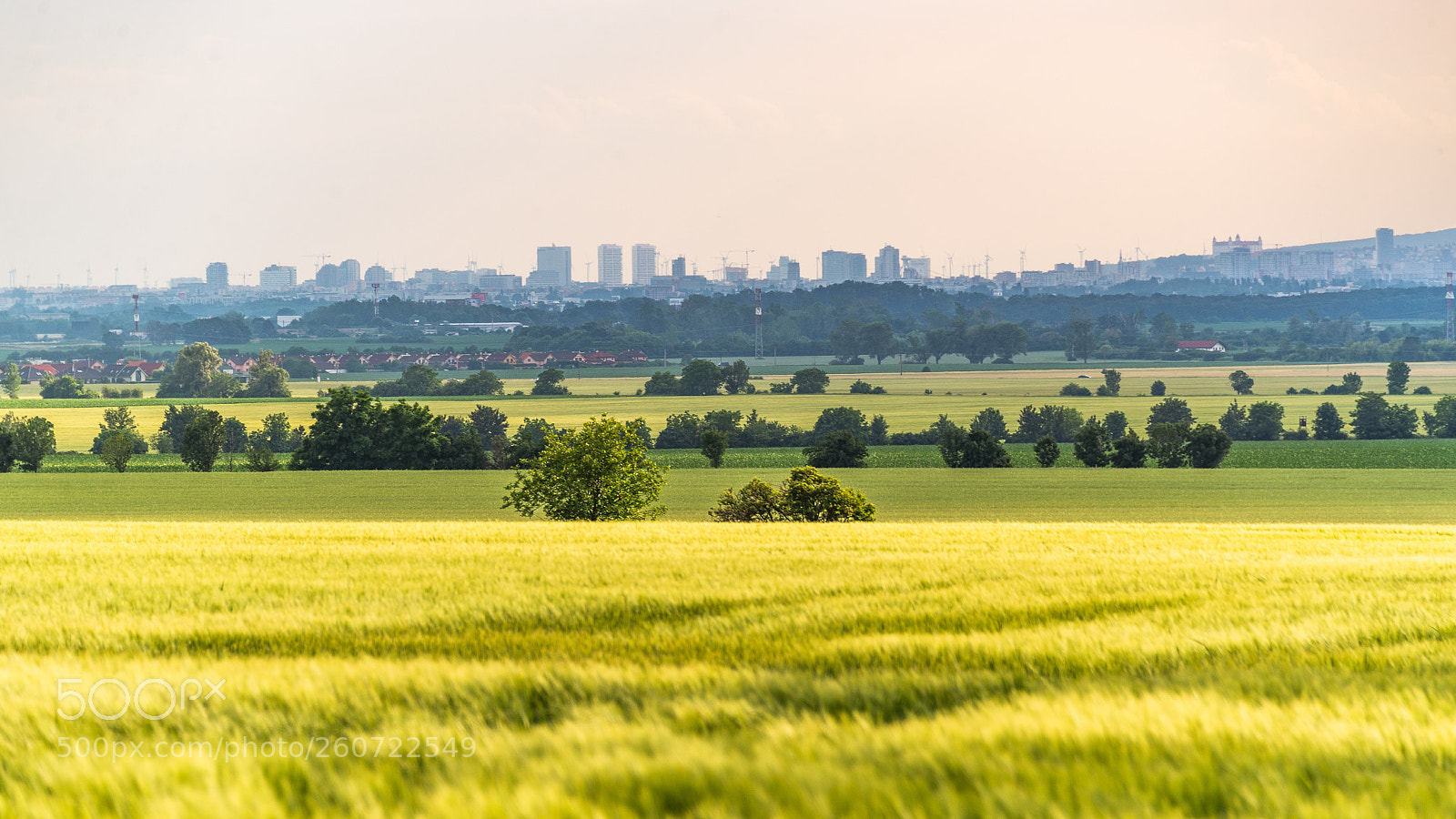 Nikon D610 sample photo. Bratislava city panorama photography