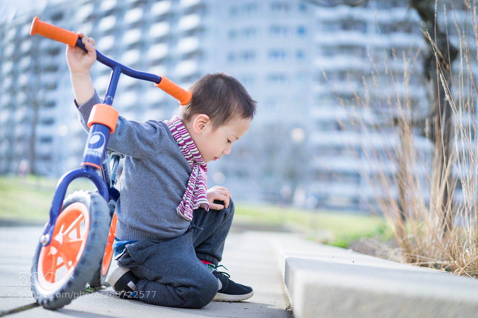 Sony a7 II sample photo. Kind photography