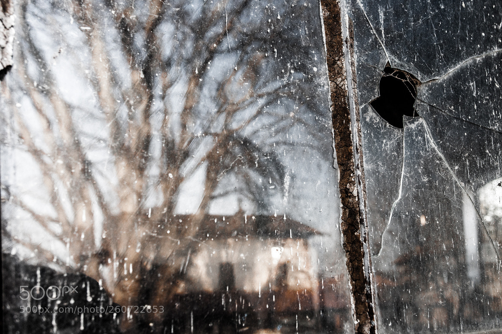 Canon EOS 5D Mark II sample photo. Broken mirror photography