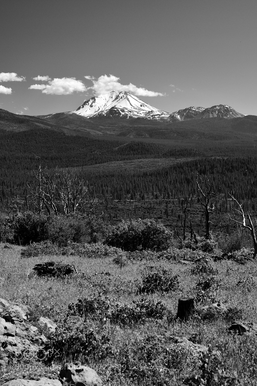 Nikon D3400 sample photo. Mount lassen photography