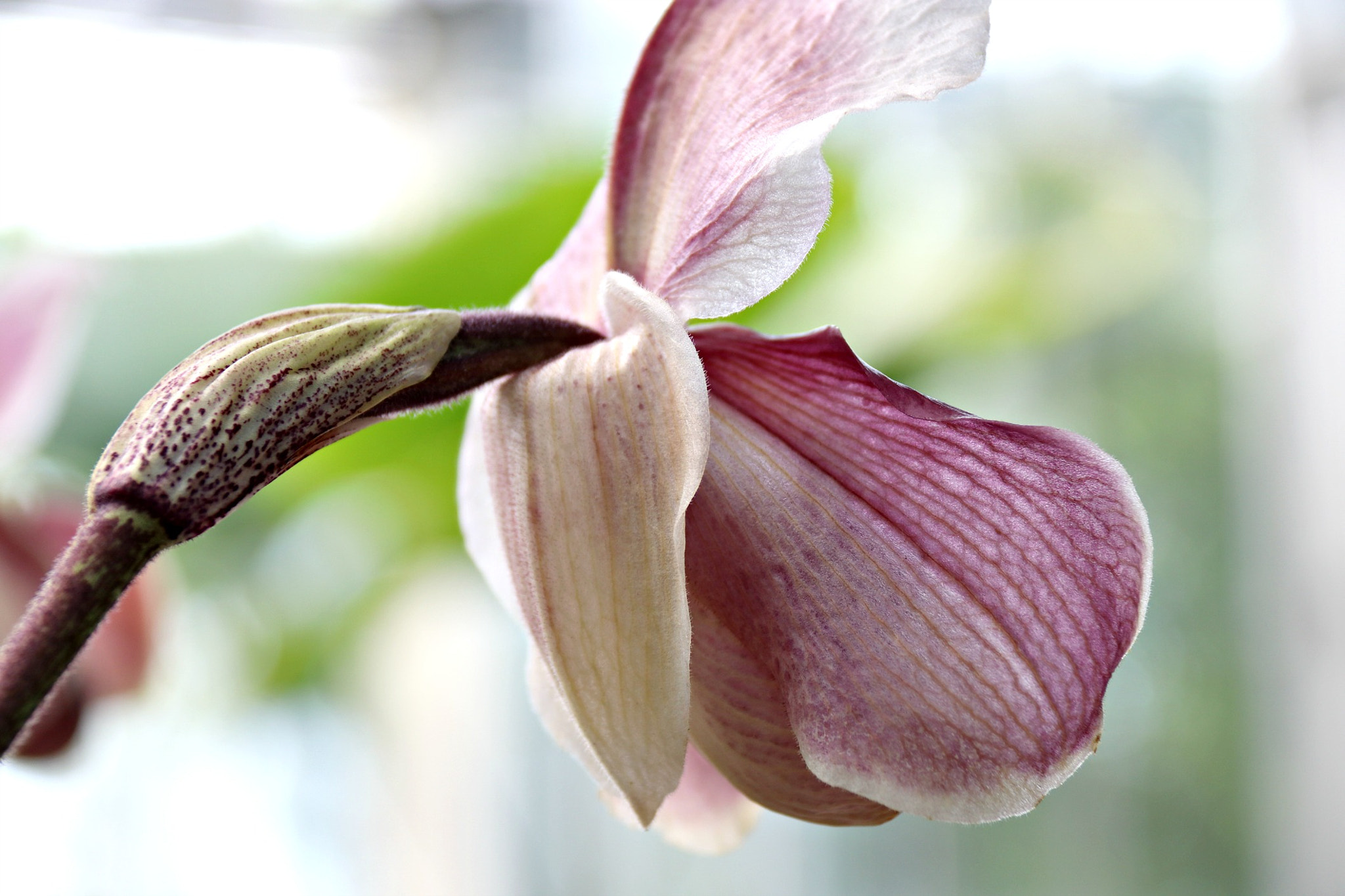 Canon EF-S 18-200mm F3.5-5.6 IS sample photo. Img photography