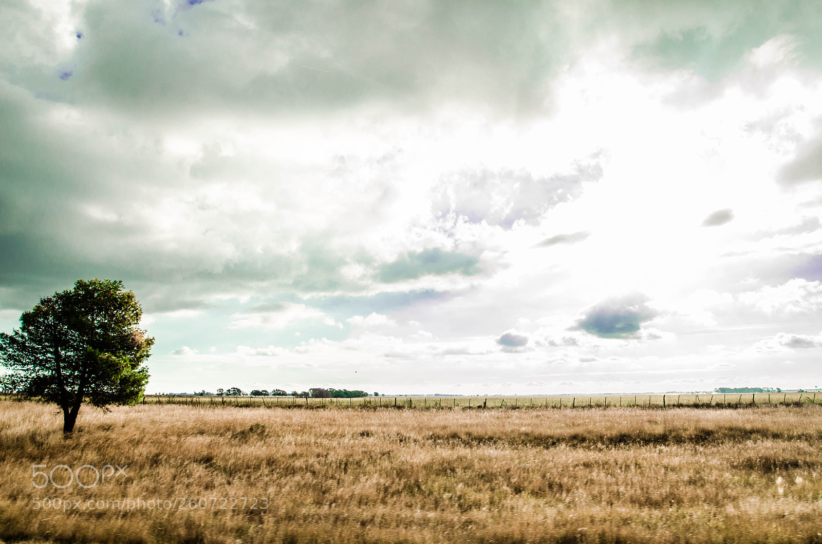 Nikon D5100 sample photo. La llanura photography