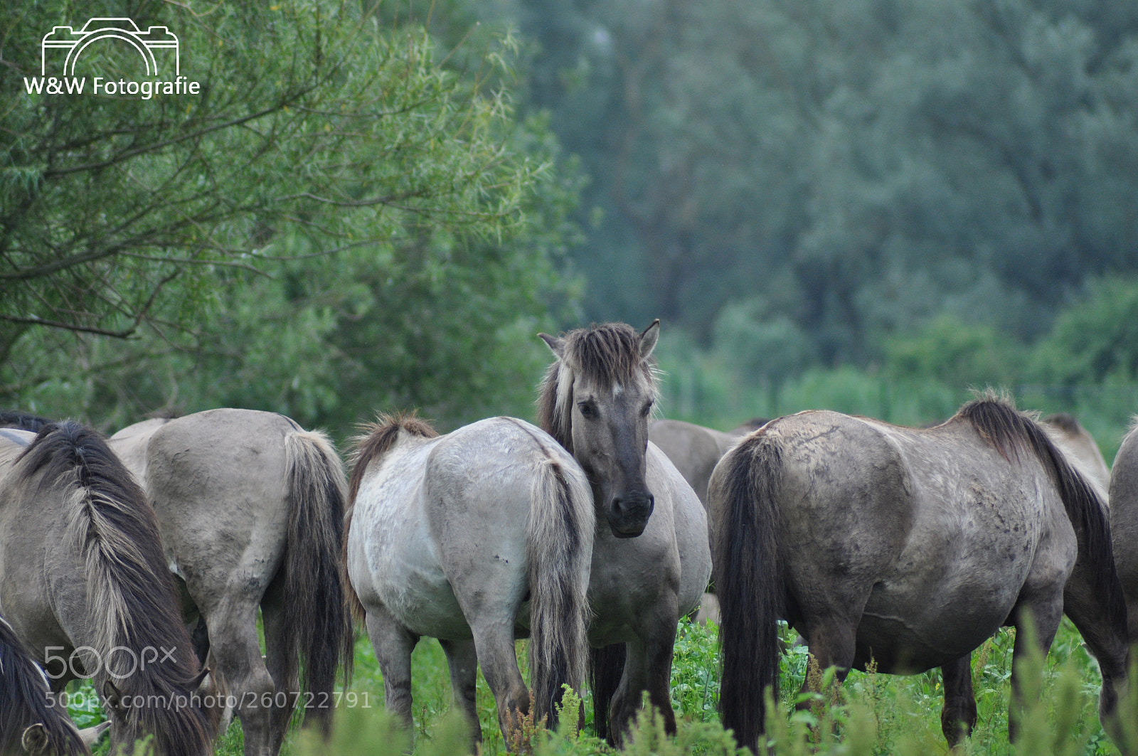 Nikon D90 sample photo. Untitled photography