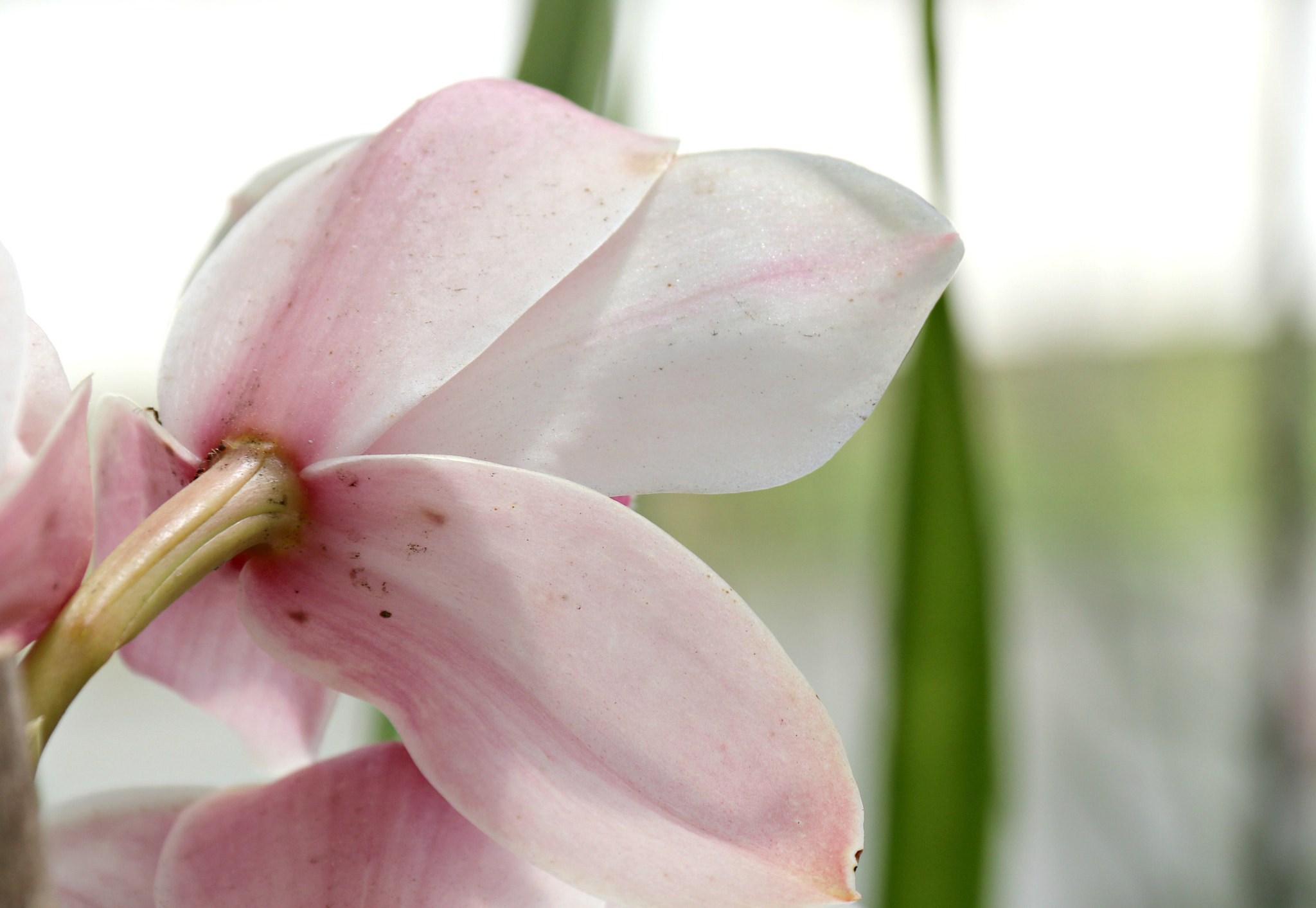 Canon EF-S 18-200mm F3.5-5.6 IS sample photo. Img photography