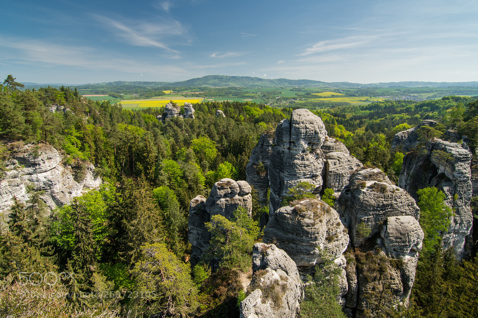 Nikon D500 sample photo. Bohemian paradise photography
